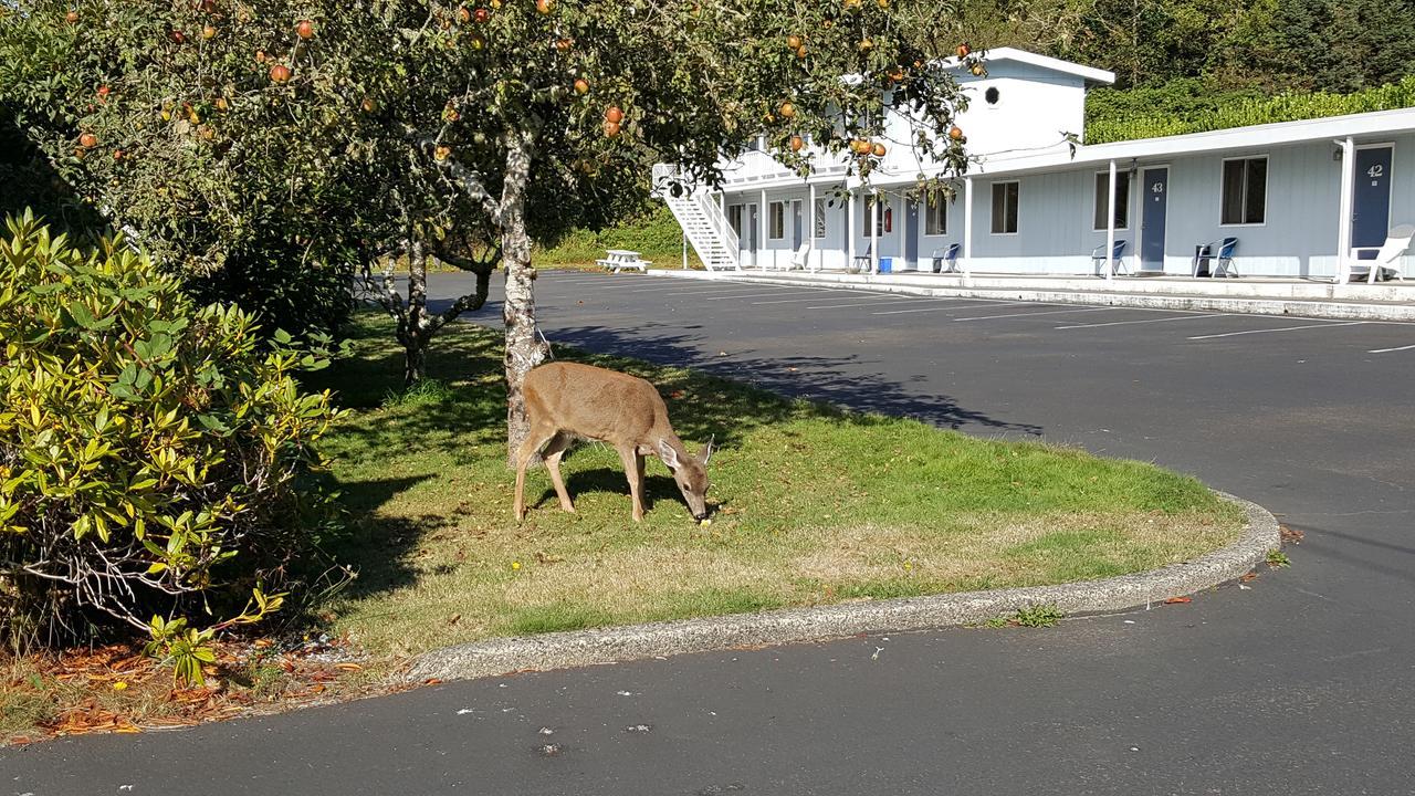 Winchester Bay Inn Reedsport Room photo